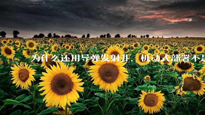 为什么还用导弹发射井，机动式部署不是更安全吗？